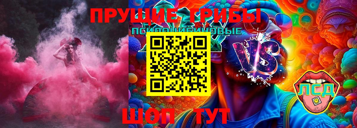что такое наркотик  Галлюциногенные грибы GOLDEN TEACHER  Вход с VPN  Домодедово  Псилоцибиновые грибы Psilocybe 