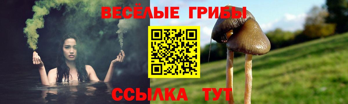 Псилоцибиновые грибы Psilocybine cubensis Домодедово